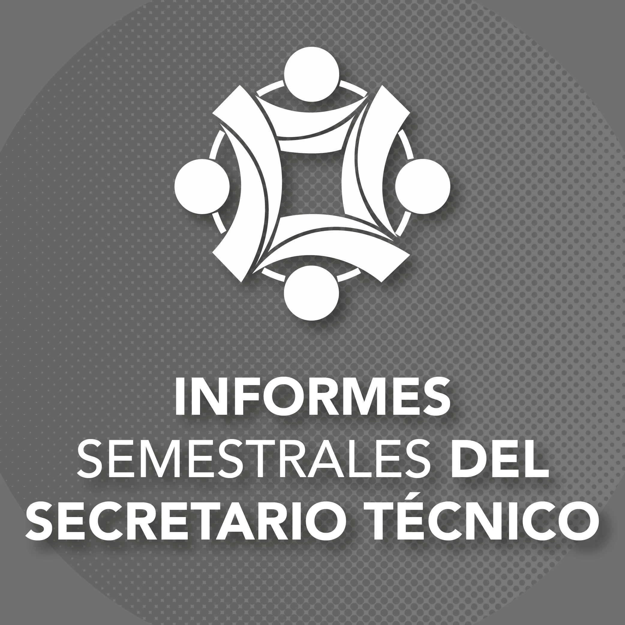 Informes Semestrales