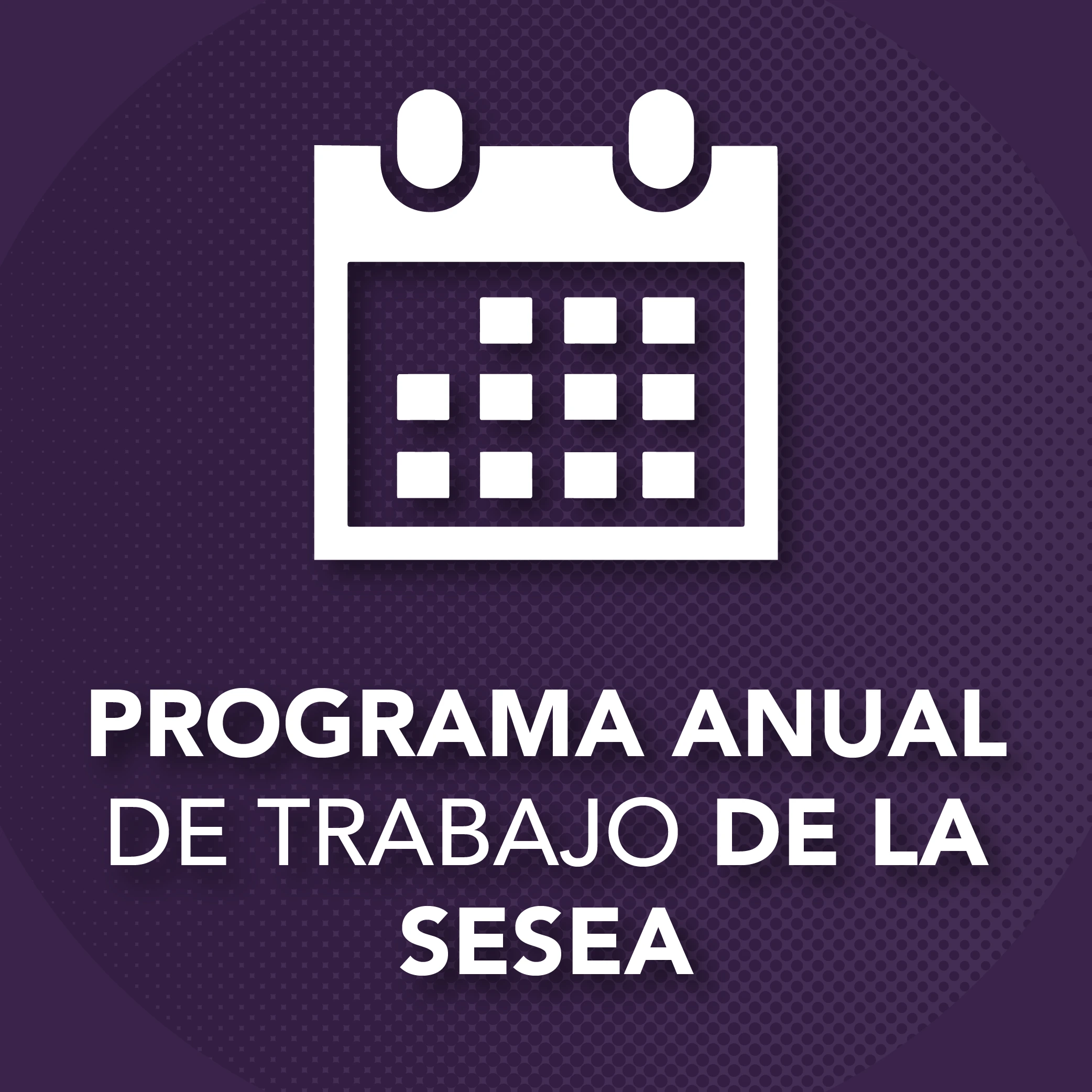 Programa Anual de Trabajo