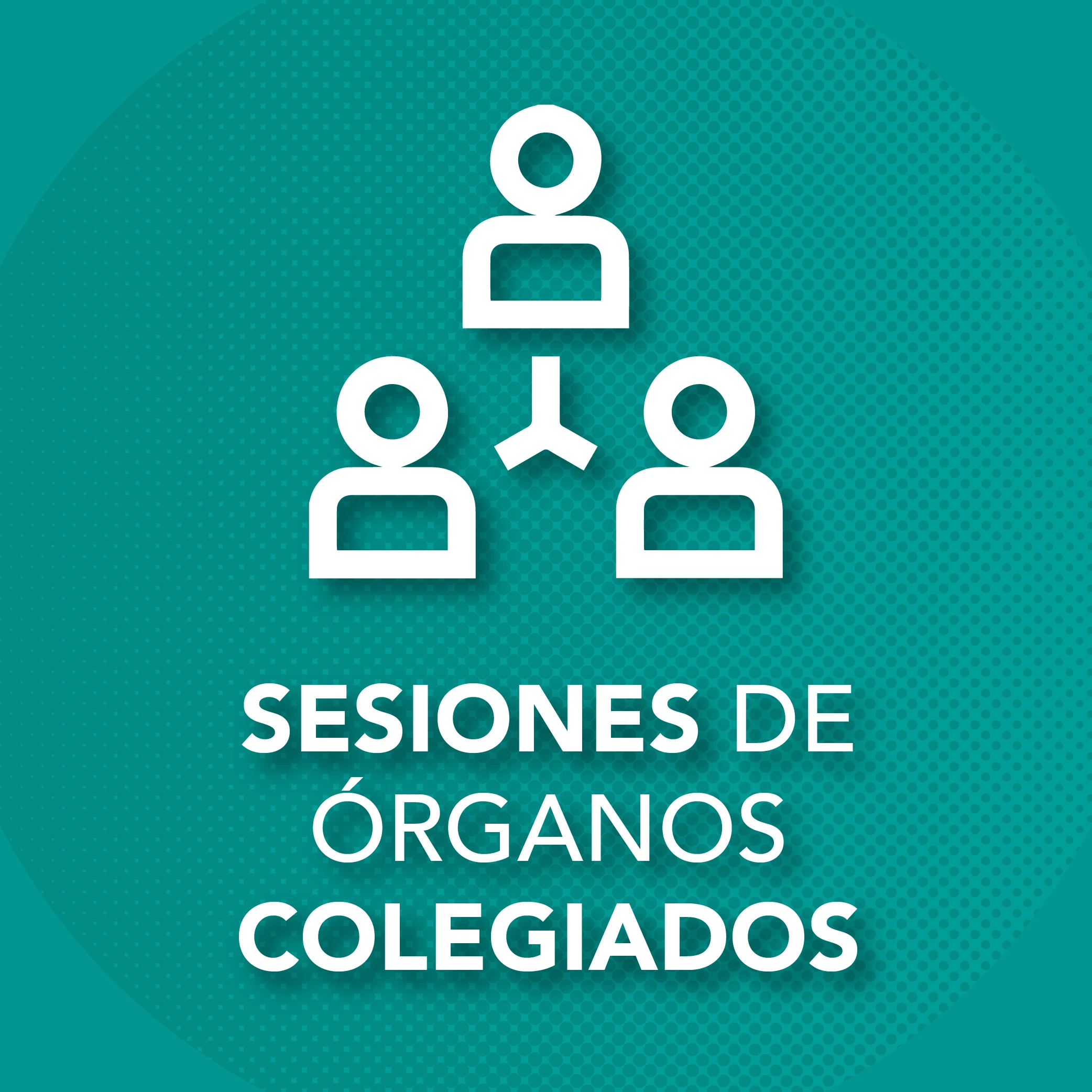 Sesiones Órganos